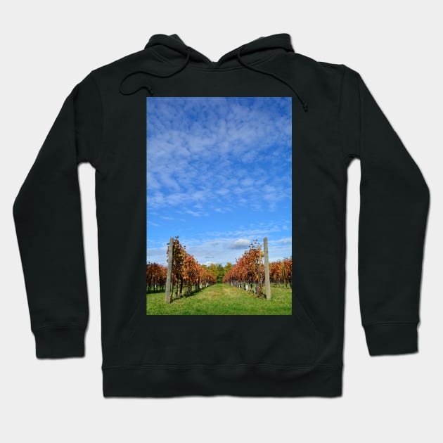 Autumnal Grape Vines Hoodie by jojobob